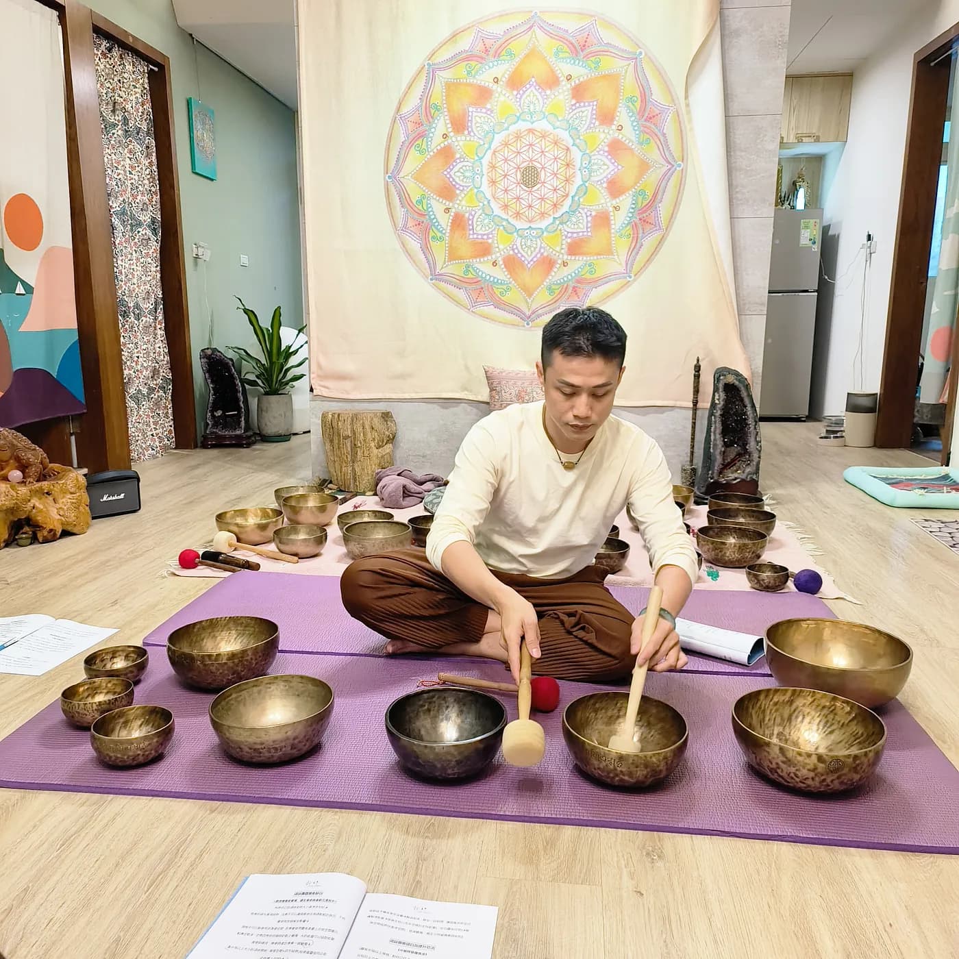 《頌缽靈氣 能量淨化療癒》介紹